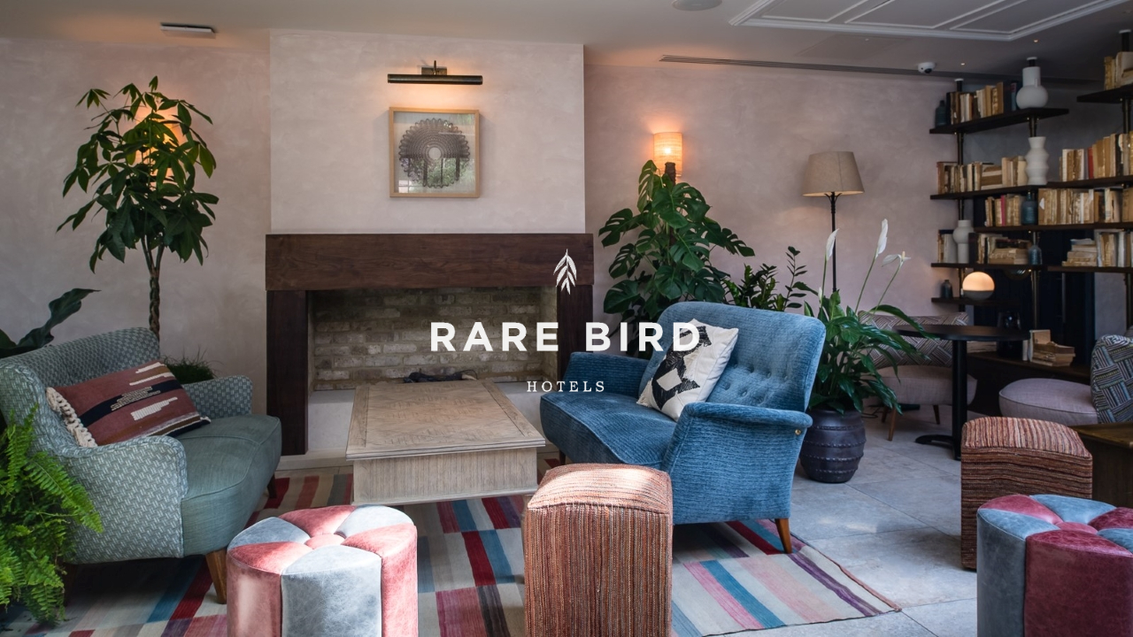 Rare Bird Hotels image